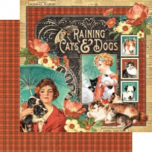 Raining Cats and Dogs Collection - Raining Cats and Dogs 12x12 Paper